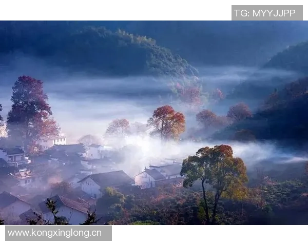 奥纳纳十年成就回顾:无畏挑战勇往直前的人生信念 奥纳纳十年成就回顾:无畏挑战勇往直前的人生信念