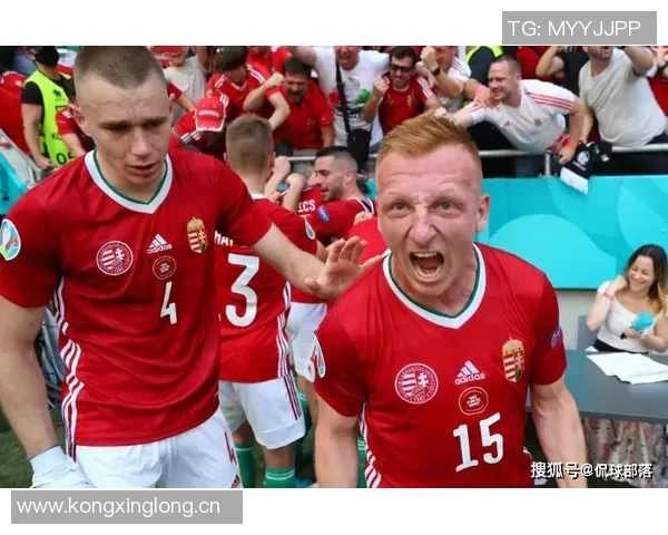 法国稳居世欧预D组榜首乌克兰末轮逆袭锁定第二名资格